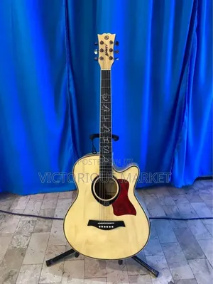 Brand New Acoustic Guitar