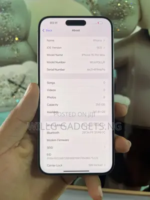 Apple iPhone 15 Pro Max 256 GB