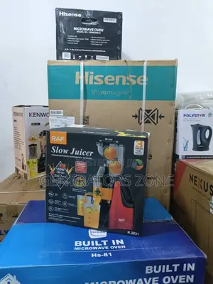 Fast Selling Raf Slow Juicer (R.2831)