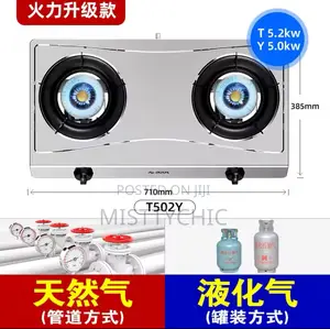 2 Burners Rashnik Stainless Gas Cooker