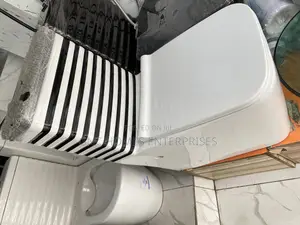 Zebra Design Water Closet (Wc) With Basin