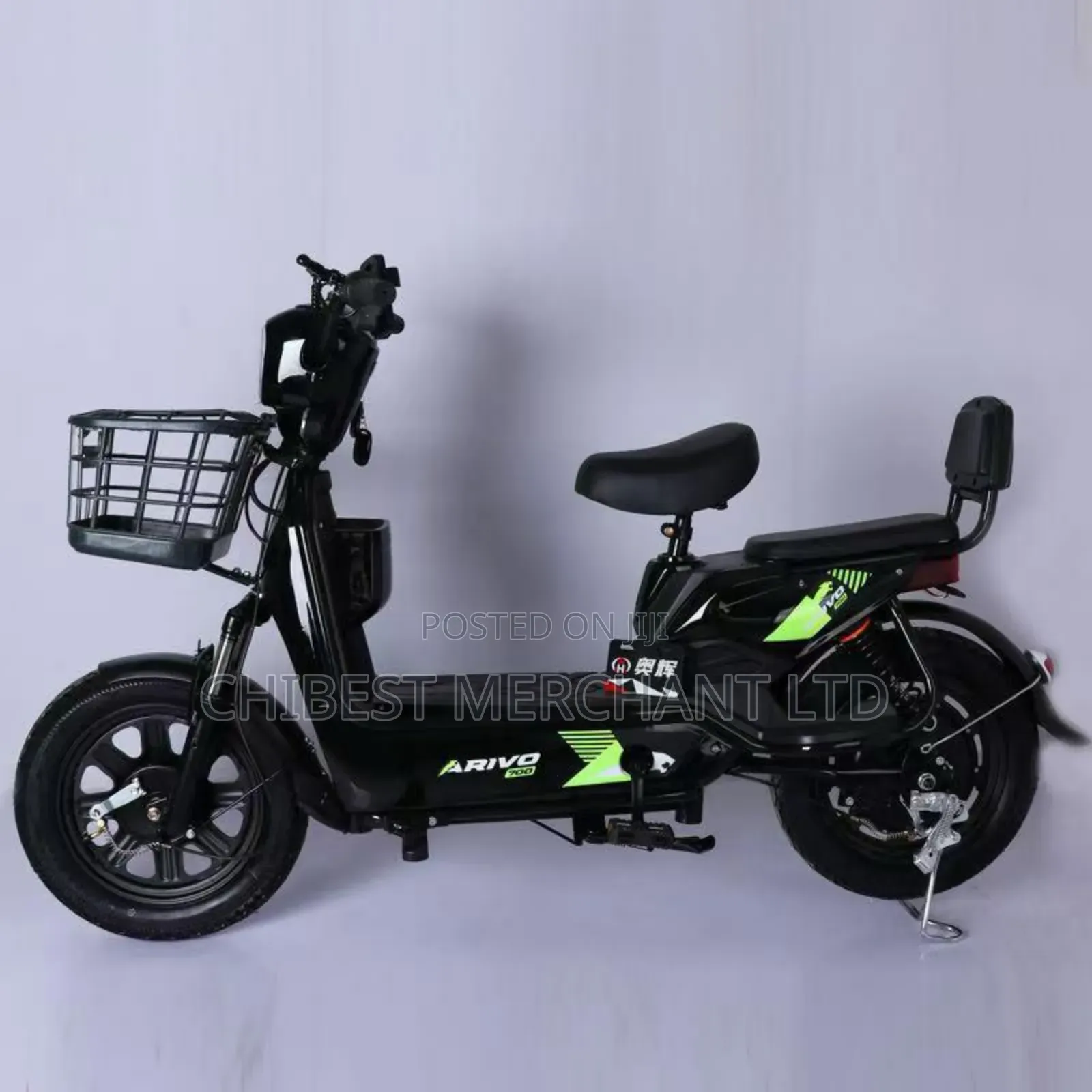 Portable Electric Bicycle