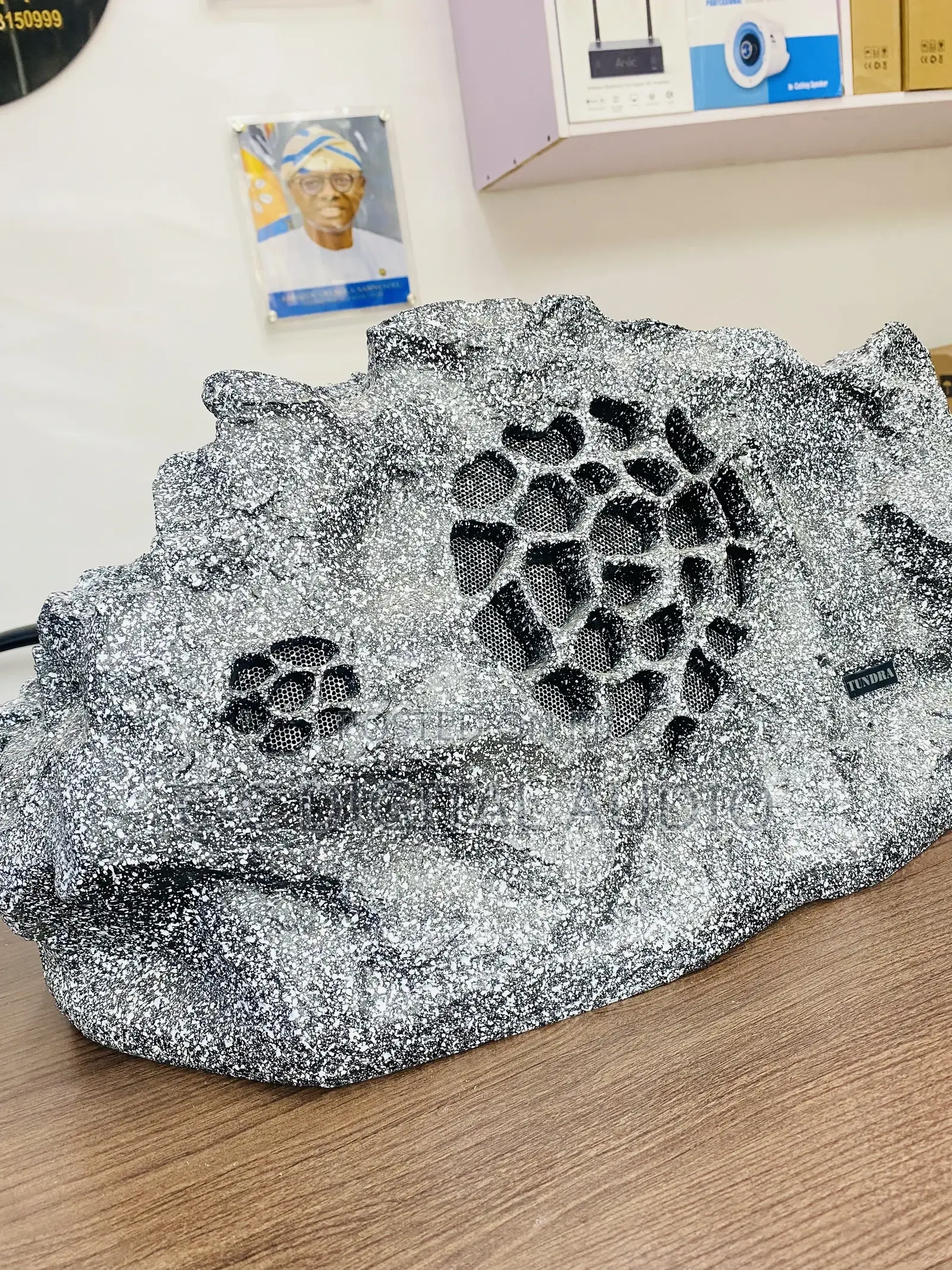Rock Garden Speaker