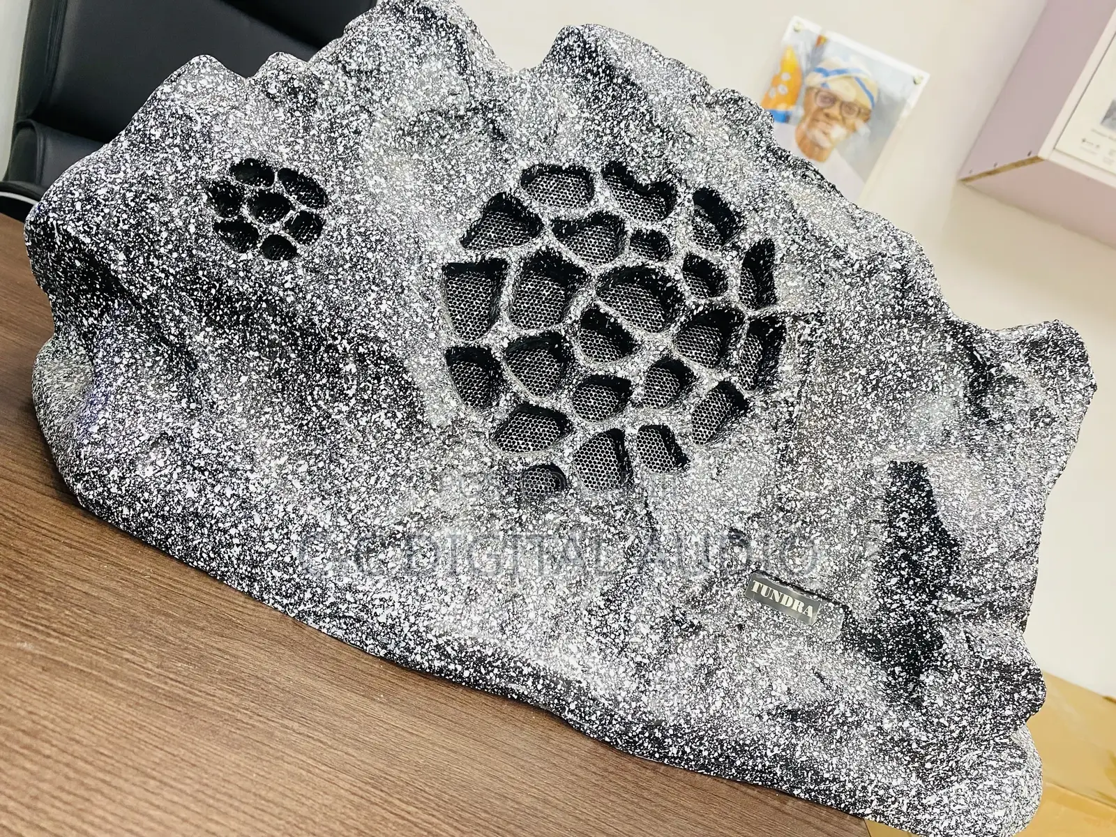 Rock Garden Speaker