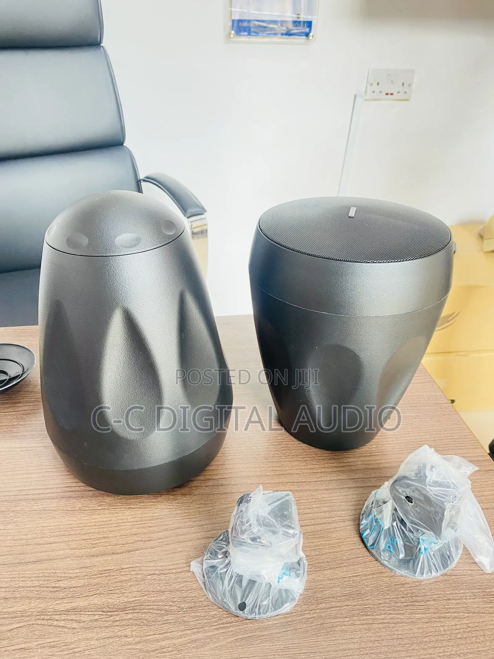 Pendant Speaker(Pair)