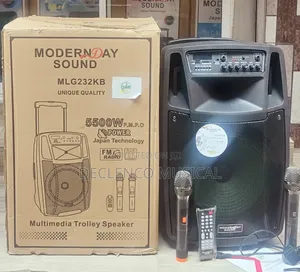 Modern Day Original 12"Inches Powerful Public Address System