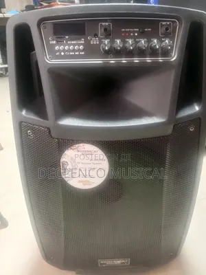 5500watts Modern Day Original 12"Inches Powerful Public Address System
