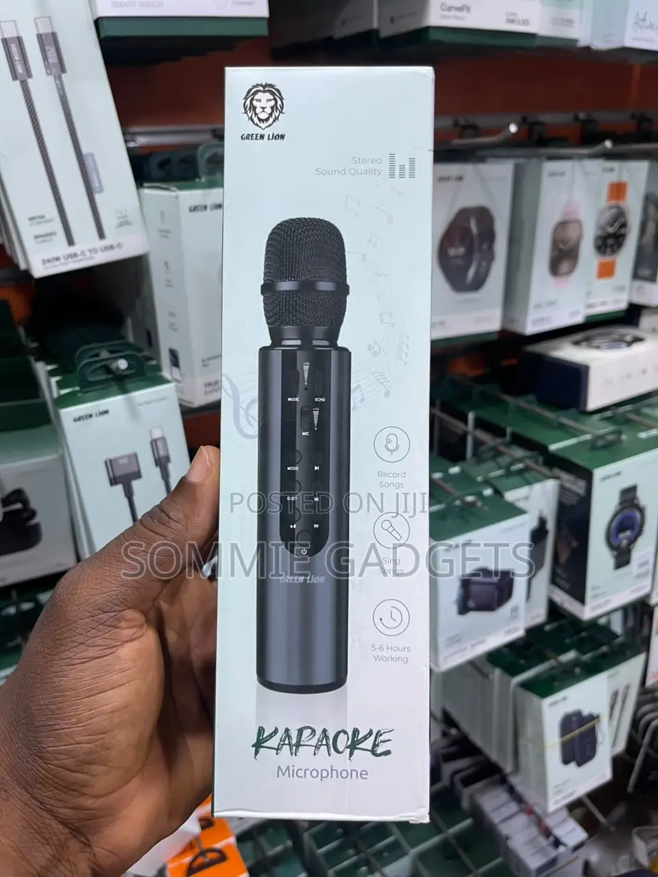 Greenlion Karaoke Microphone