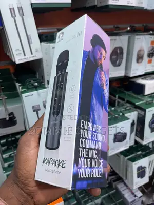 Greenlion Karaoke Microphone