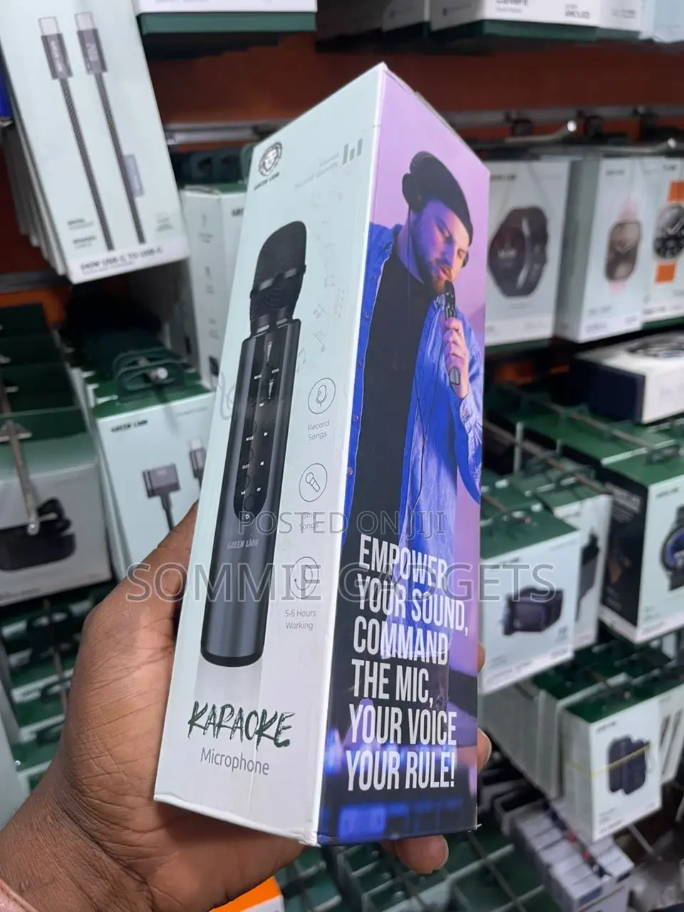 Greenlion Karaoke Microphone