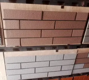 South Korean Bricks:Size 6x24 Cm