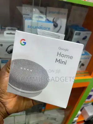 Goggle Home Mini