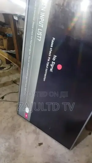 Any Kind of Television Repair