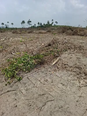 Photo - Dry Land Mowe