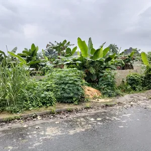 For Sale:6 Plots With Dwarf Fence at Gra Phase 8 Eliozu , Ph