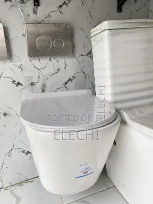 Wall Mounted Wc
