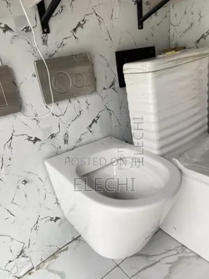 Wall Mounted Wc