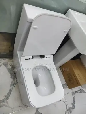 Executive England Toilet Seat With Wash Hand Basin