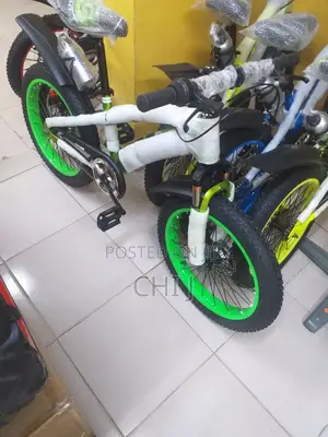 New Arrival Usa Standard Teenage Big Tyre Bicycle Available