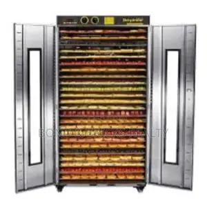 20 Single Food Tray Dehydrator Machine