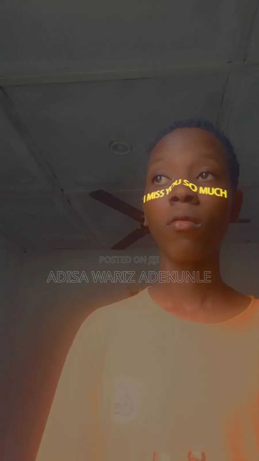 Adisa's Cv