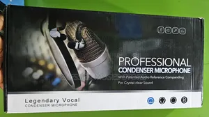 Profession Microphone