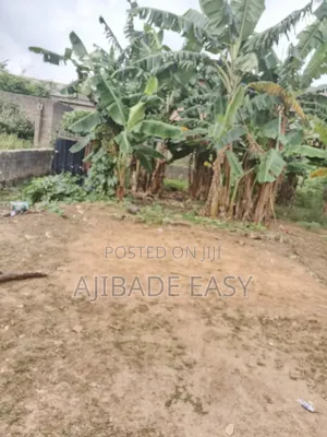 Almost Full Plot Land in Ayobo for Sale