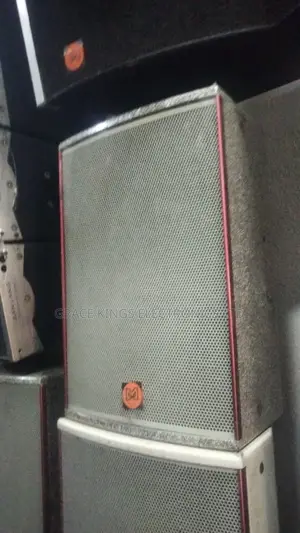 Sanlang 12"Inches Speaker