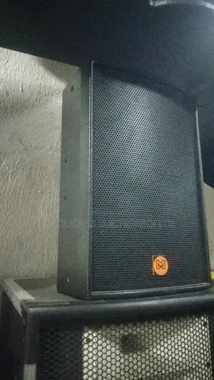 Sanlang 12"Inches Speaker