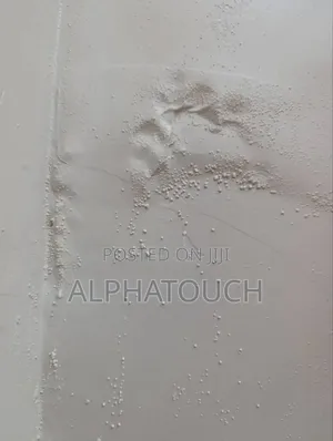 Wall Dampness Treatment
