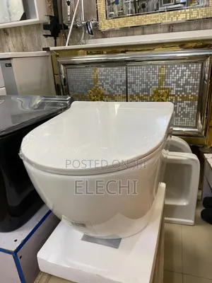 Wall Mounted Wc