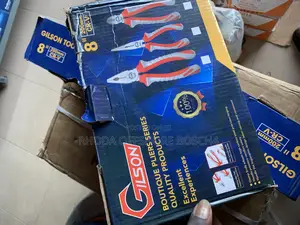 Gilson Set of Plier
