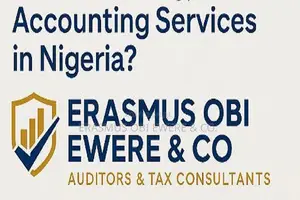 Audit Tax Compliance for Travel Visa Firms