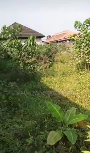 Full Plot of Land at Baba Adisa, Ibeju-Lekki for Sale