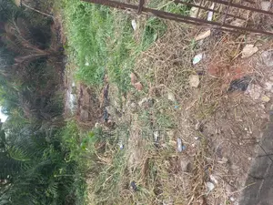 Full Plot of Land With C of O Trinity Estate