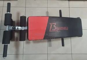 Situp Gym Bench and Free 2 Dumbles