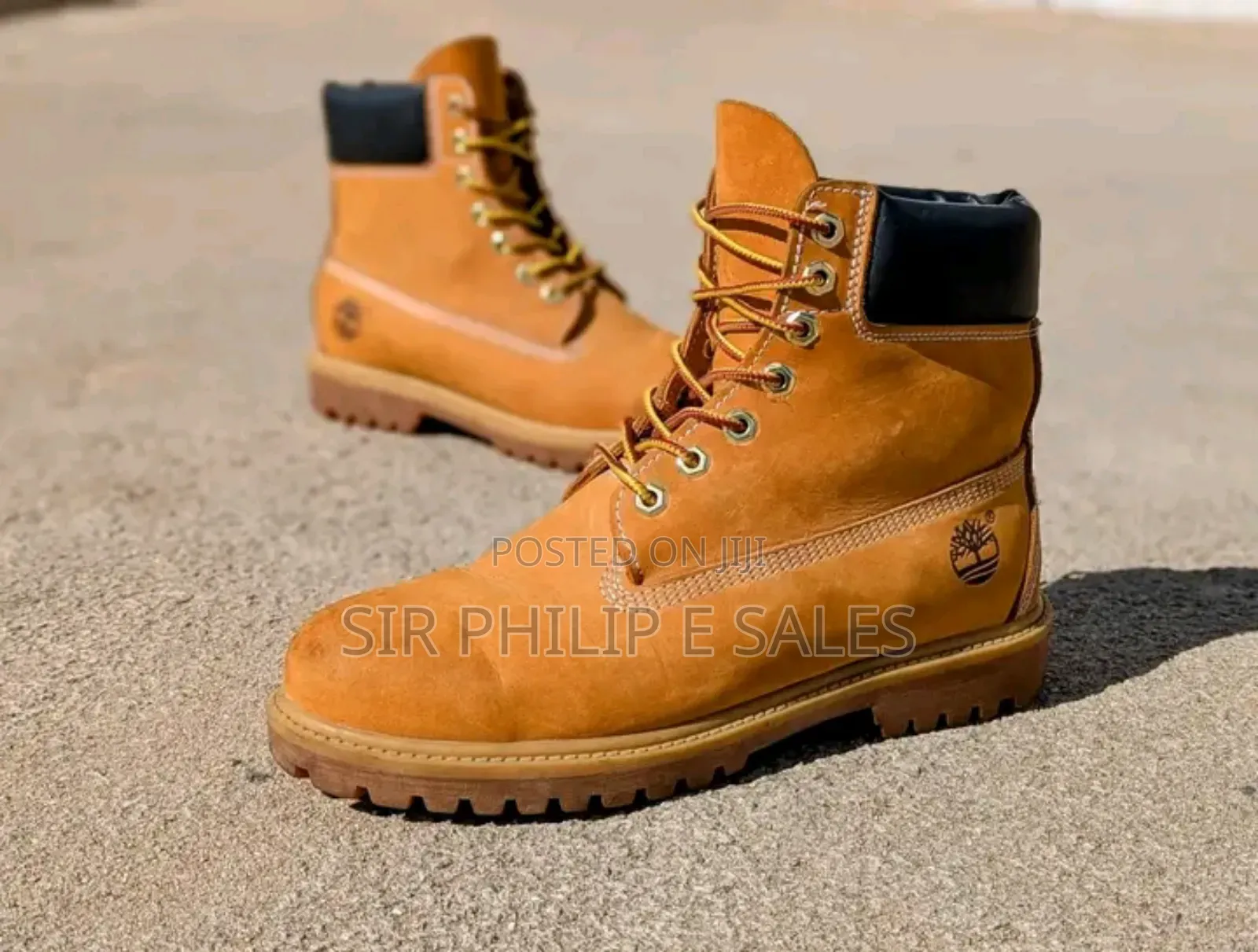 Top Timberland
