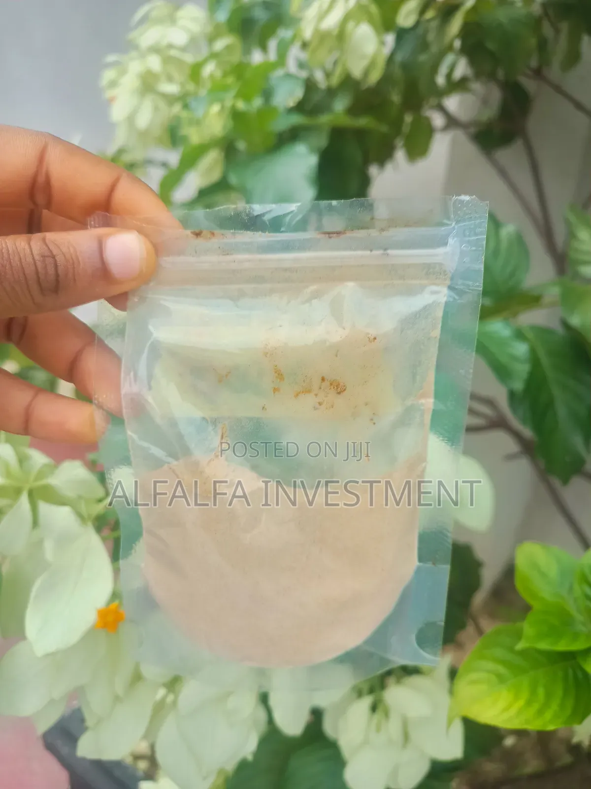 Pure Ginseng Powder