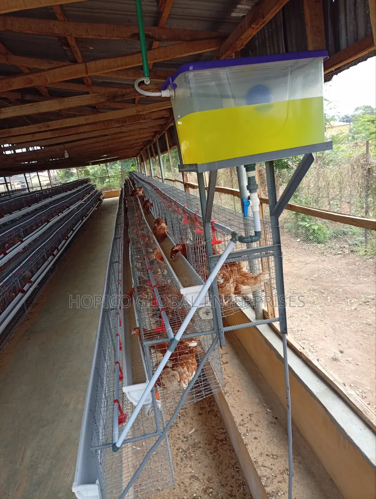 Unique Long Half Side Cage 