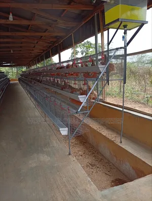 Unique Long Half Side Cage 