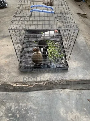 Pet Rabbit Cage