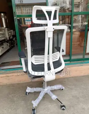 Premium Ergonomic Seat