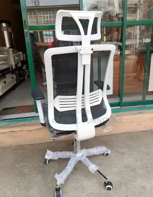 Premium Ergonomic Seat