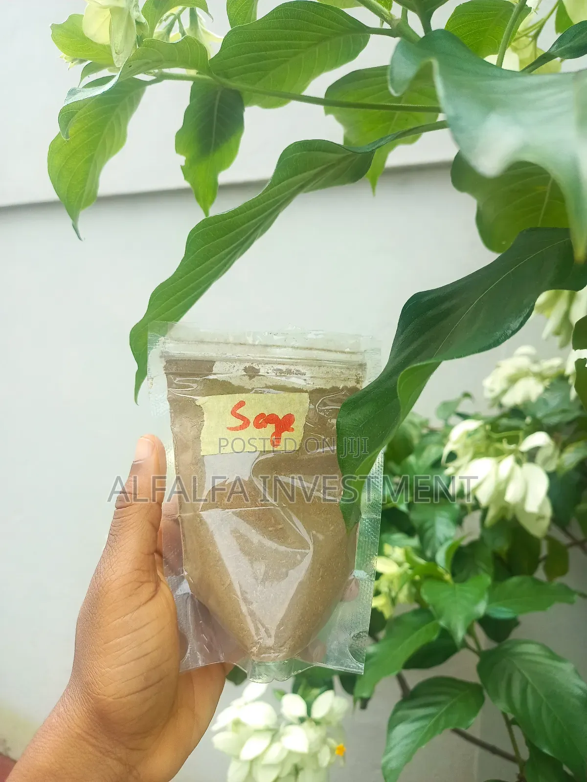 Sage Powder