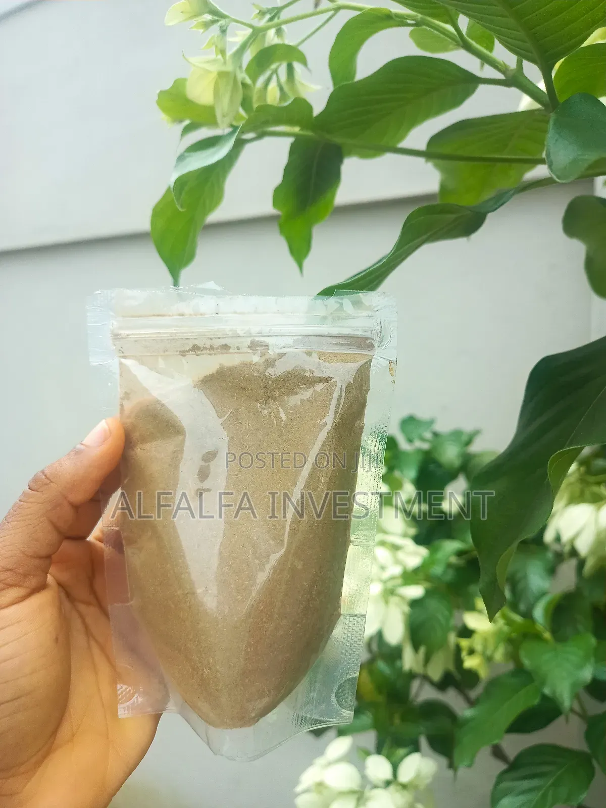 Sage Powder