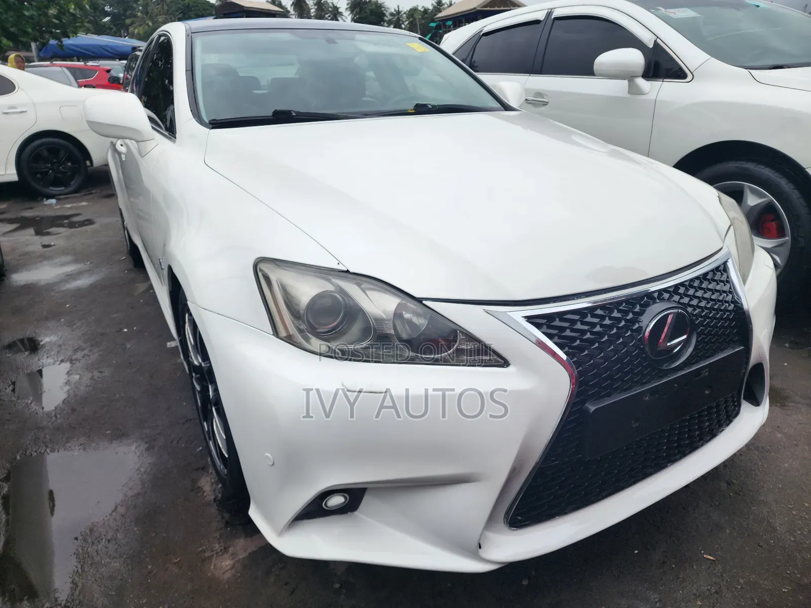 Lexus IS 250 2008 White