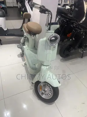 New Super Gallant 2025 Gray