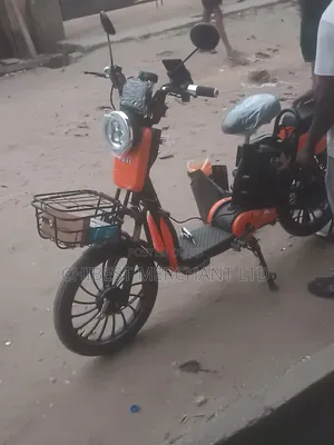 Electric Bike