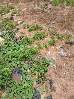 Level And Well Located Land For Sale At Gra