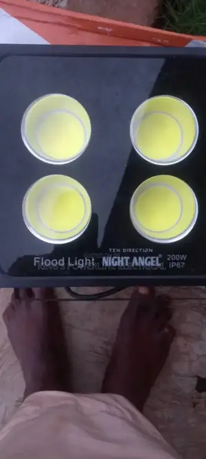 200 Watts Arogin Floodlight